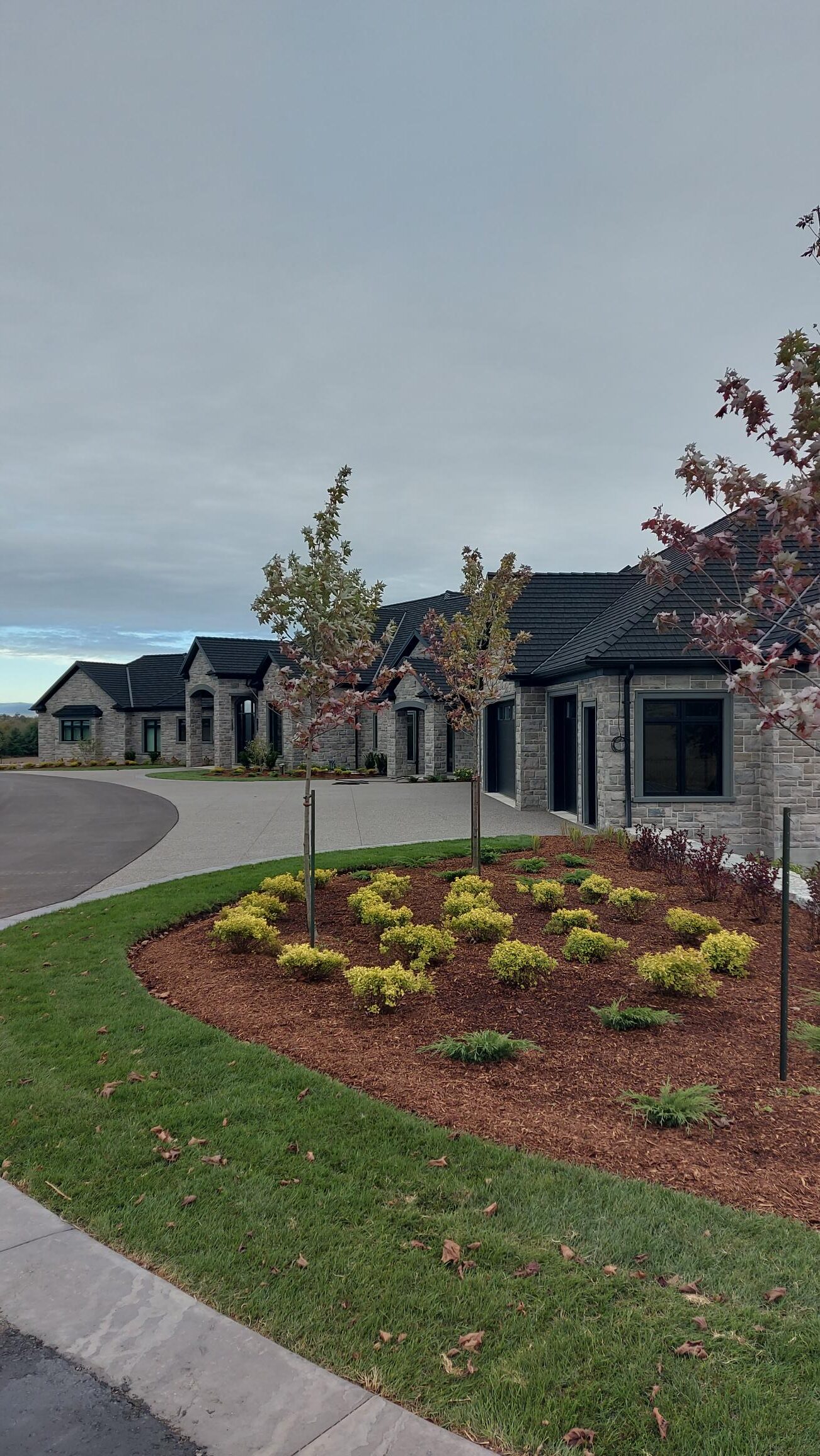 Elegant stone houses line a curved driveway, bordered by landscaped gardens with young trees and shrubs under a cloudy sky.