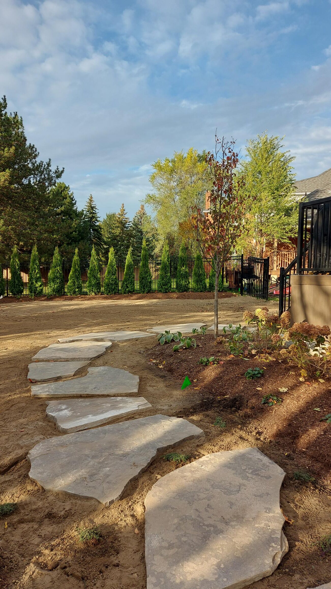A stone path winds through a garden, flanked by young trees and shrubs, against a backdrop of leafy trees and a fence.