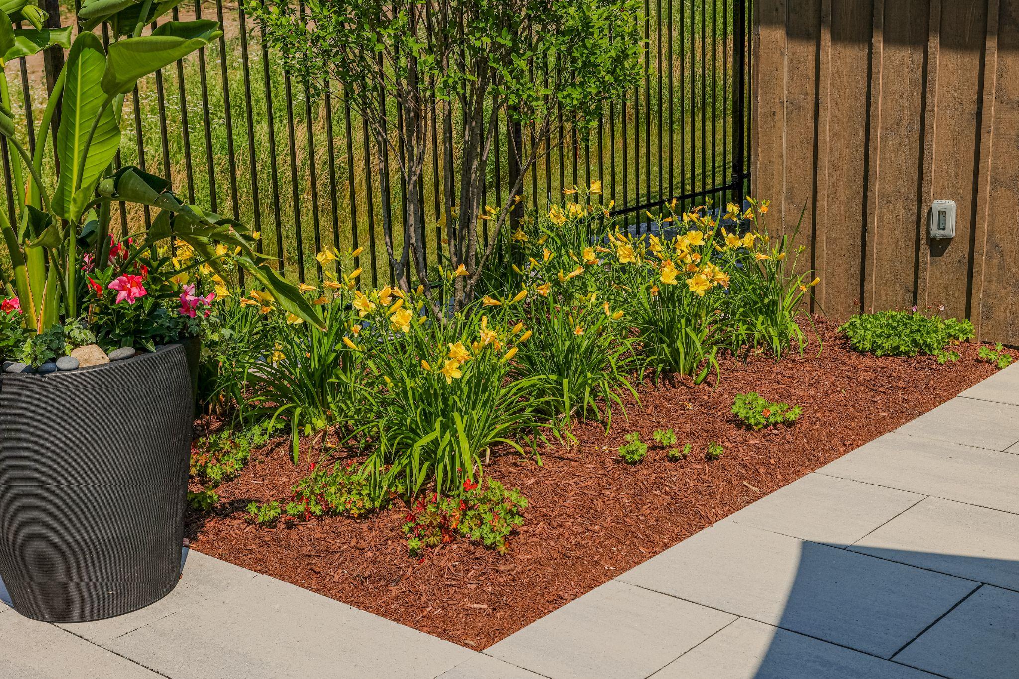 A colourful planter with flowers beside a wooden fence in a residential garden.