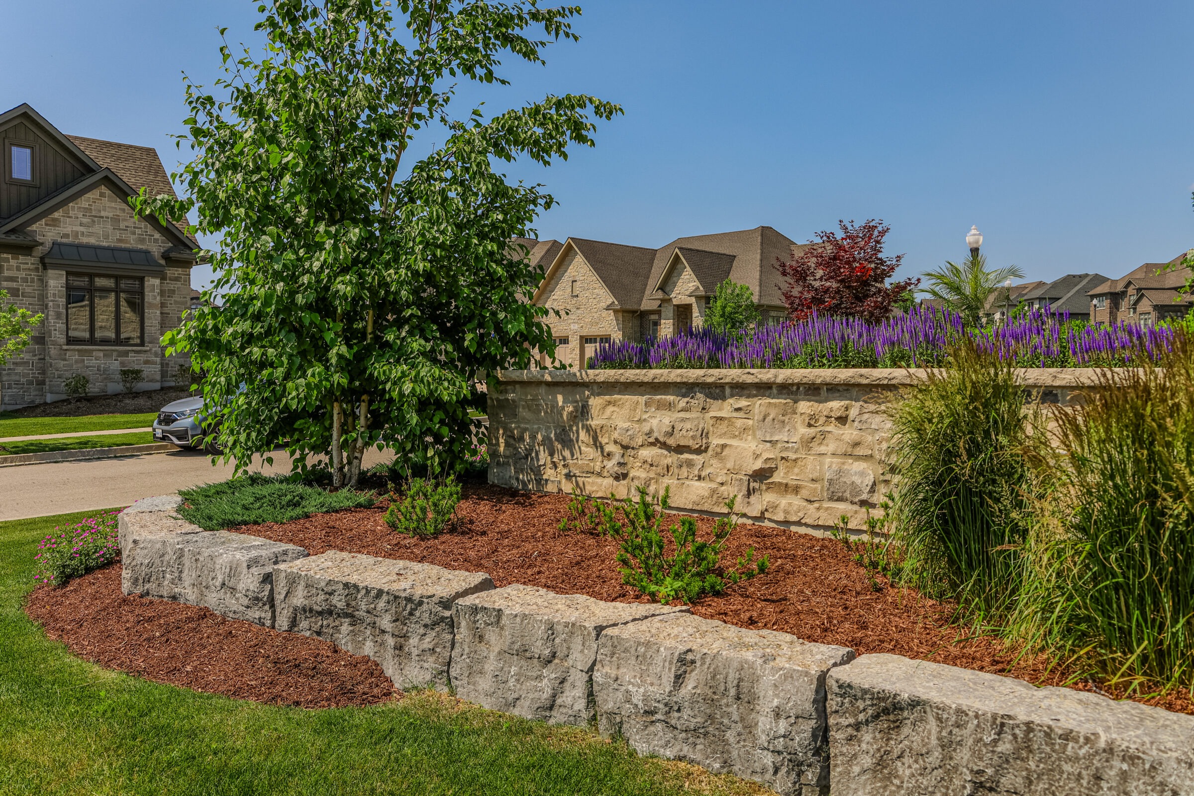 A residential neighbourhood with stone houses, lush gardens, and a car on a tree-lined street under a clear blue sky.
