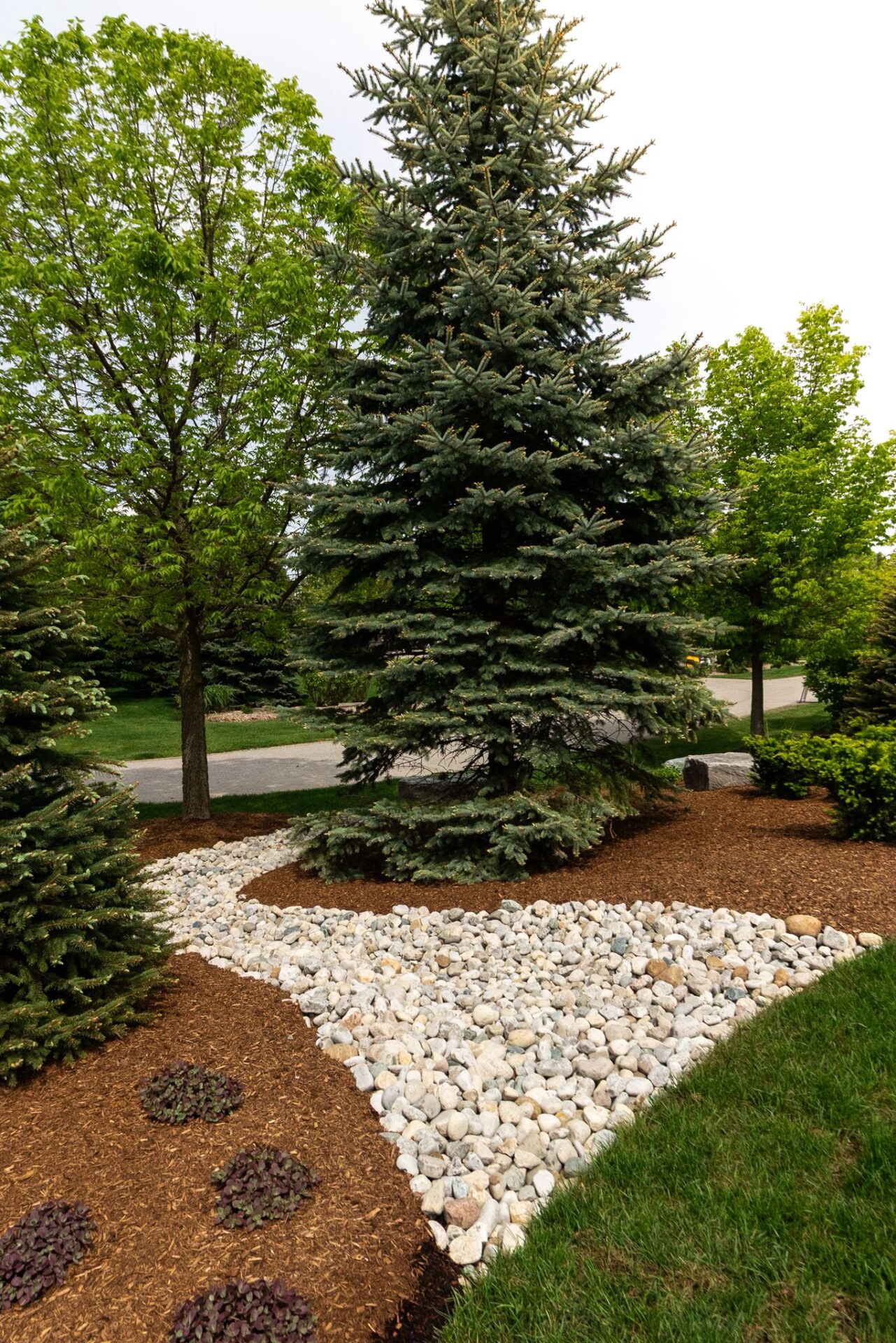 A serene garden scene with trees, mulched pathways, and decorative rocks, creating a peaceful, natural landscape without any recognizable landmarks.