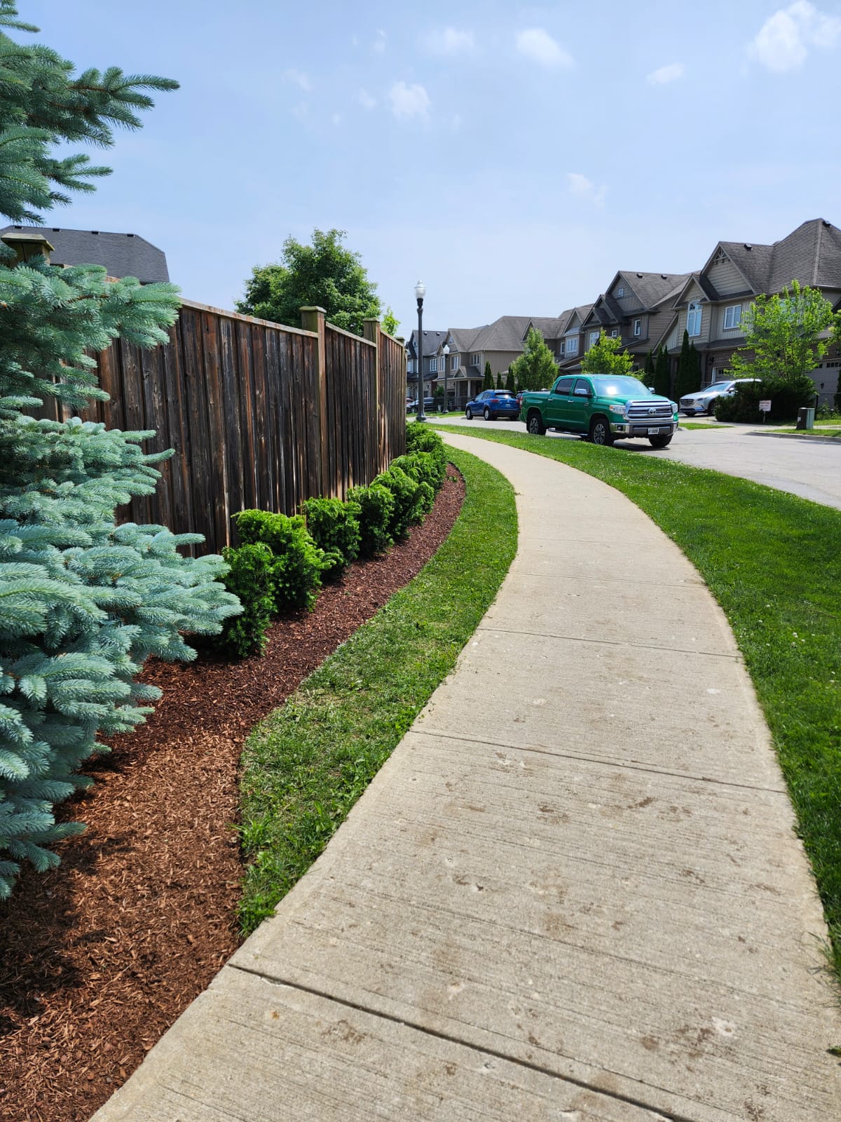 A suburban street with a sidewalk, landscaped greenery, wooden fence, and parked vehicles under a clear sky. Residential houses line the background.