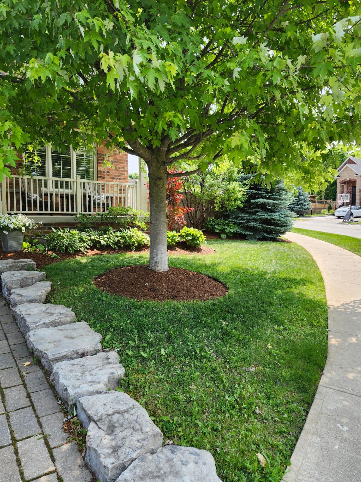 A serene front yard features a lush green tree, stone pathway, and residential house with a porch, surrounded by vibrant shrubbery and flowers.