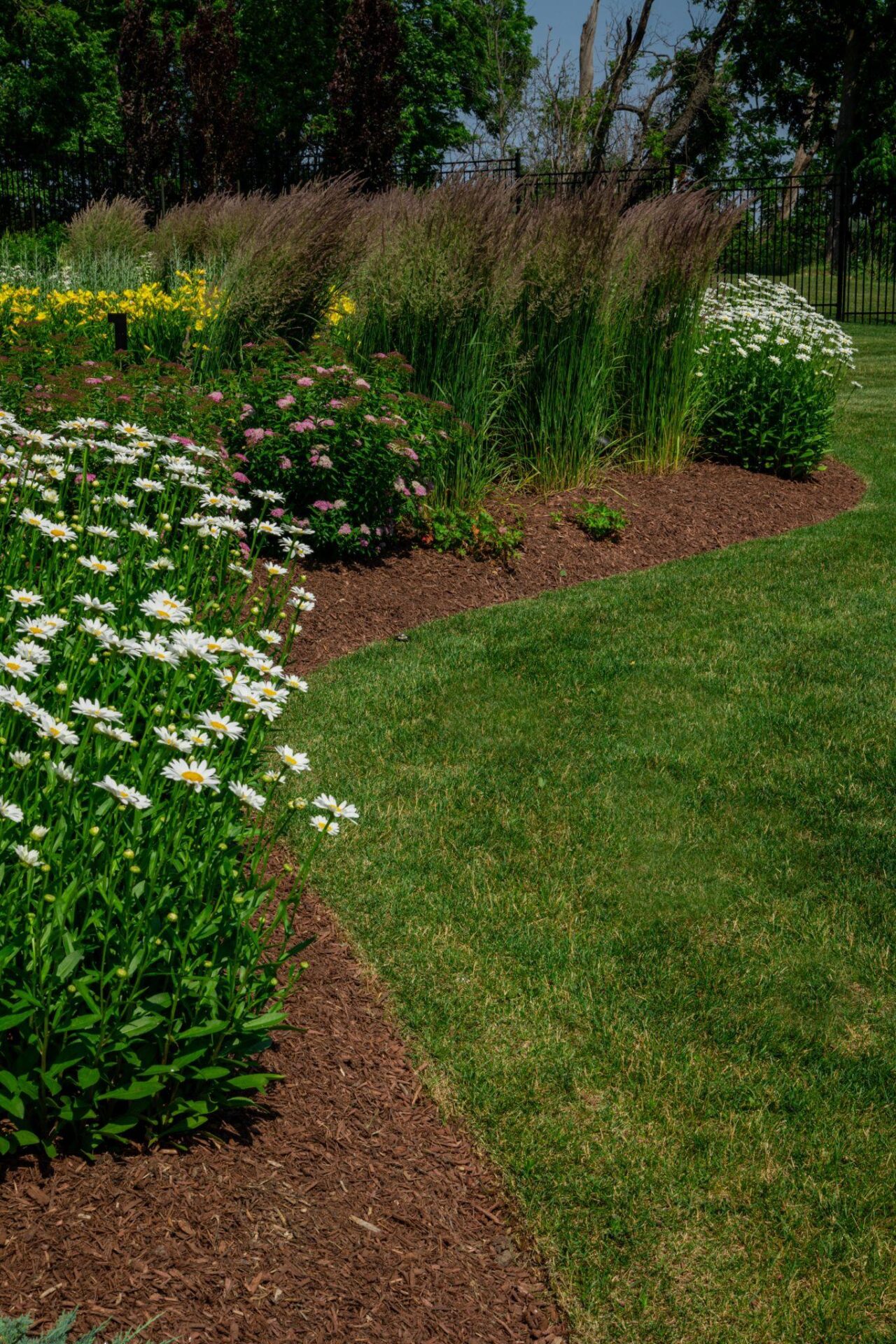 A garden showcasing vibrant flowers, as part of its backyard landscaping ideas.