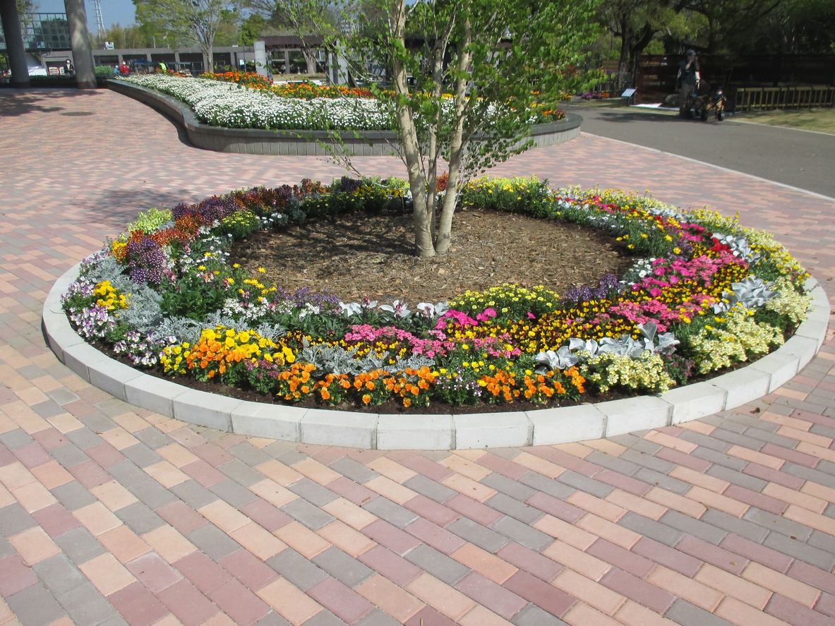 Circular flower bed with vibrant blooms encircles a tree on a brick plaza. People in the distance near more landscaped gardens.