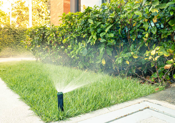 A sprinkler waters a lush green lawn beside a path and hedge, next to a building. Sunlight illuminates the scene.