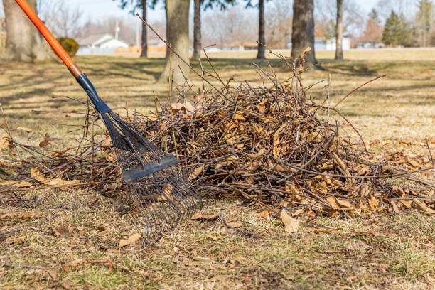 A rake rests on a pile of fallen leaves and branches in a park. Trees and grass surround the area under a clear sky.