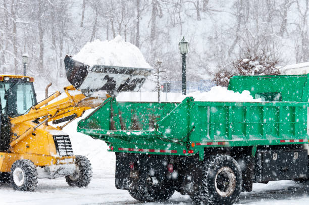 A yellow loader moves snow into a green truck during heavy snowfall. Trees and vintage-style street lamps are visible in the background.